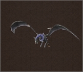 Black Wing Bat.jpg