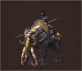 Elephant Warrior.jpg